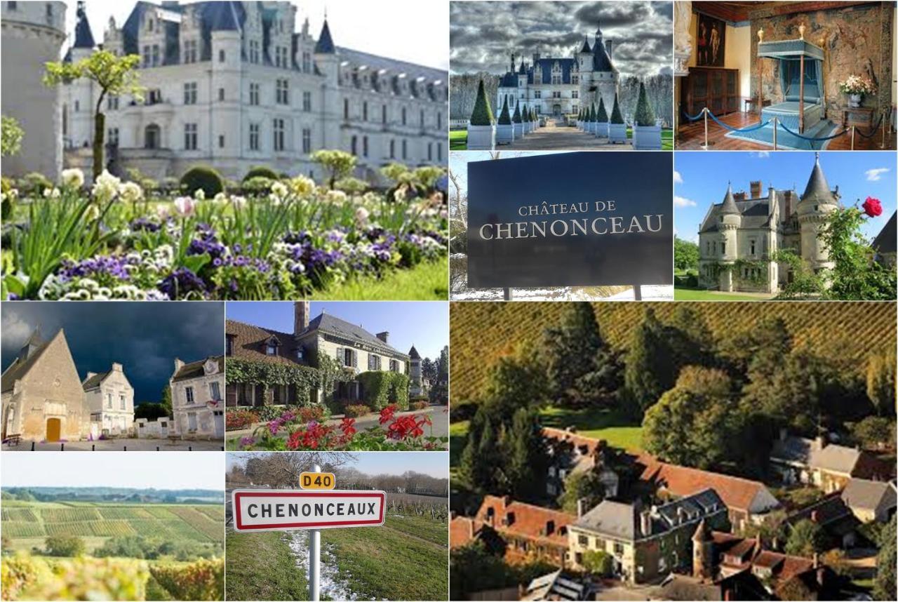 Le Roi Coq Bed & Breakfast Chenonceaux Dış mekan fotoğraf
