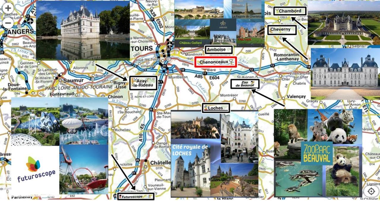 Le Roi Coq Bed & Breakfast Chenonceaux Dış mekan fotoğraf