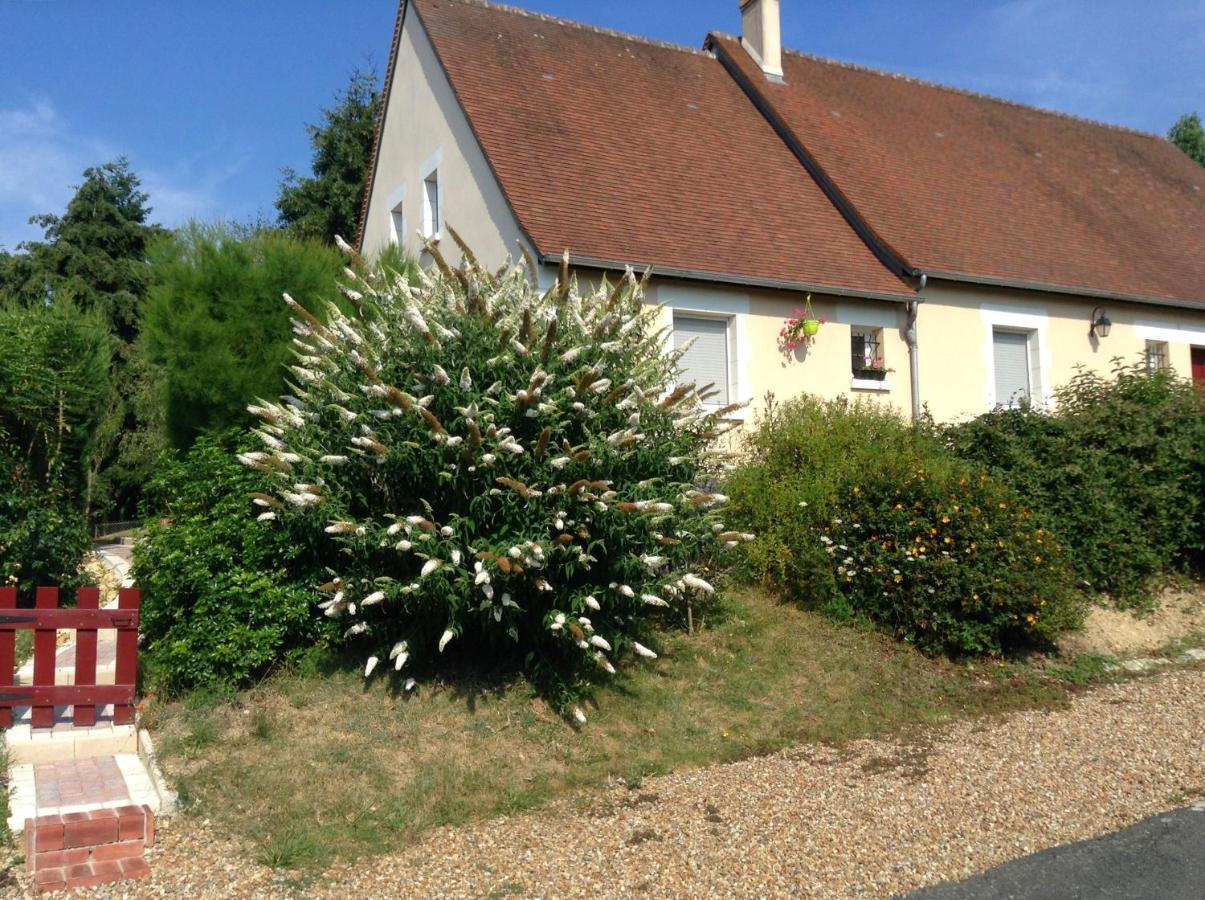 Le Roi Coq Bed & Breakfast Chenonceaux Dış mekan fotoğraf